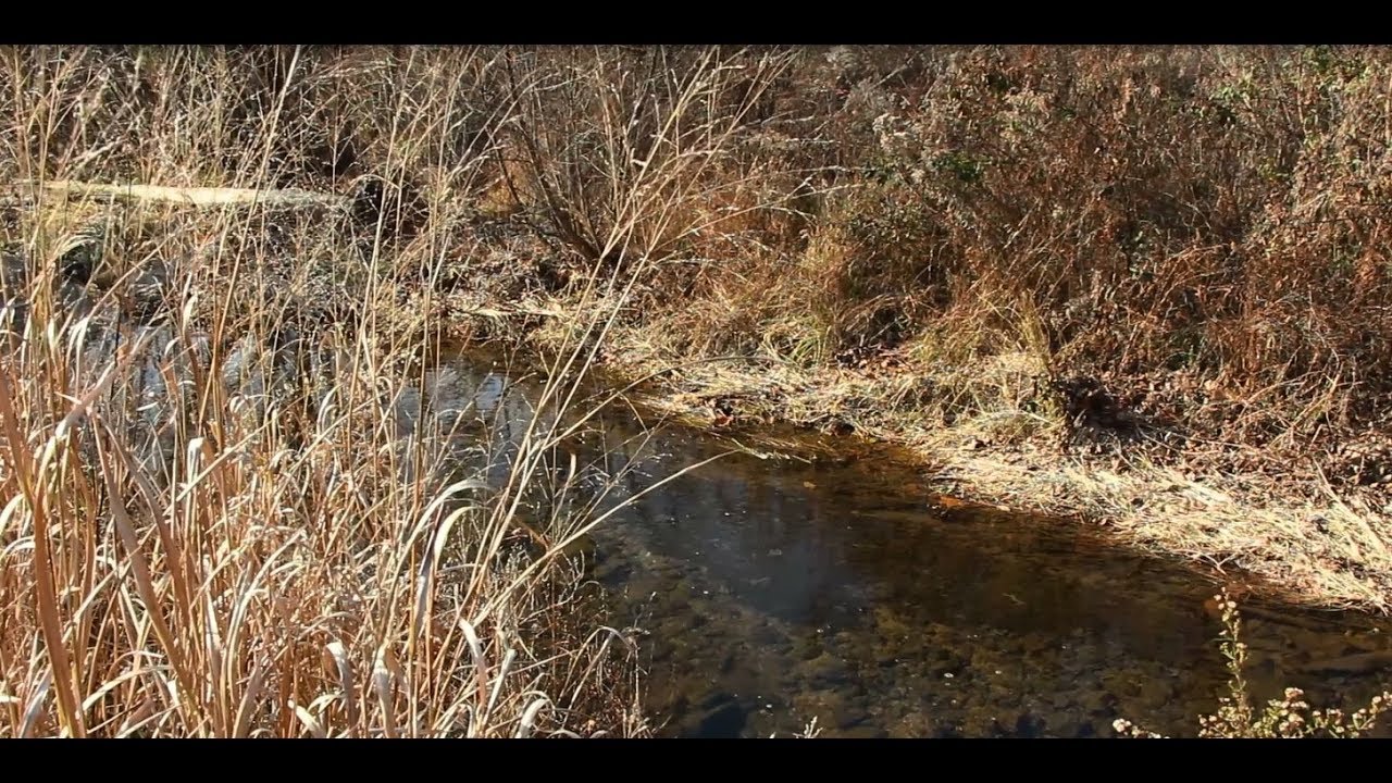 The Watershed Education Video